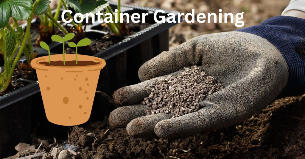 What kind of soil is best for container gardening in 2024